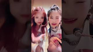 유에와 샤나 댄싱👯‍♀🎶 #Lapillus #라필루스 #Shana #샤나 #Yue #유에