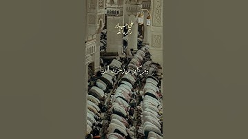 تلاوة قديمة وخاشعة بصوت القارئ علي جابر رحمه الله #اكسبلور