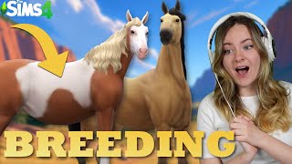 REALISTIC BREEDING SPIRIT AND RAIN IN SIMS 4  Horse Ranch | Pinehaven