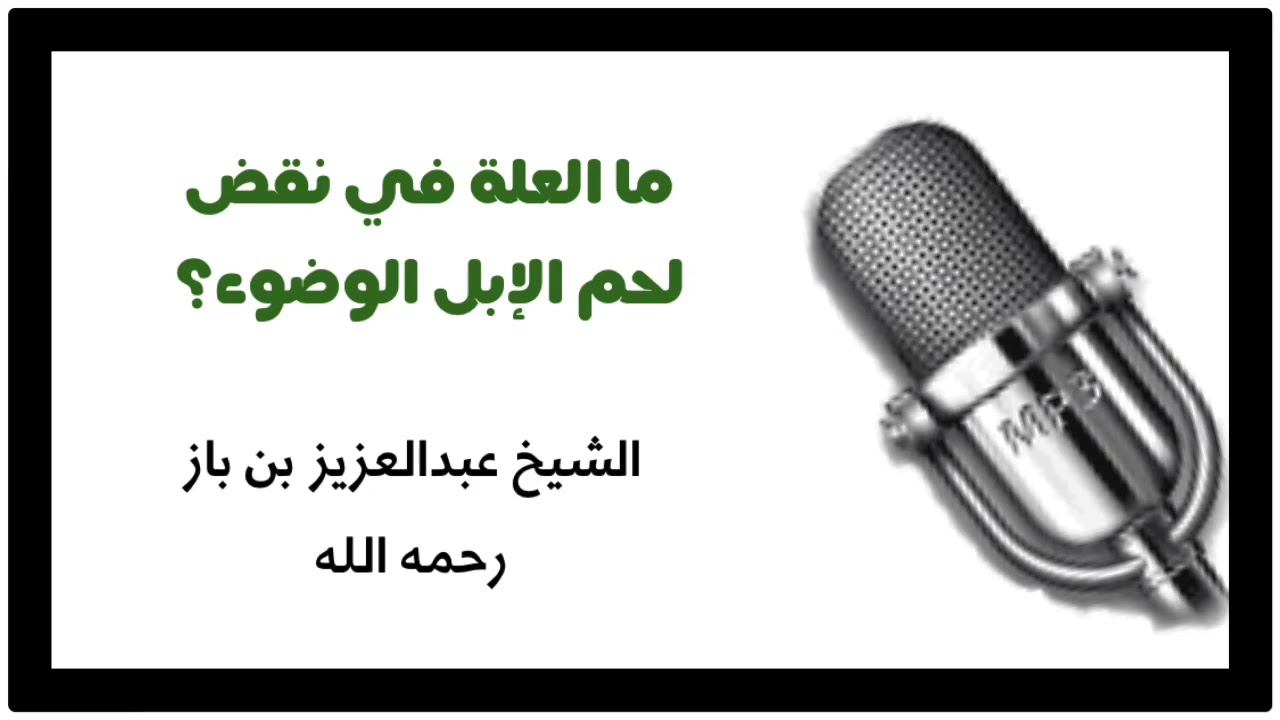 الشيخ ابن باز : ما العلة في نقض لحم الإبل الوضوء؟