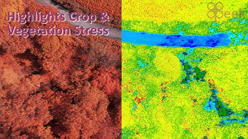 PRECISION AGRICULTURE NDVI DRONES // Monitor Crops and Detect Diseases