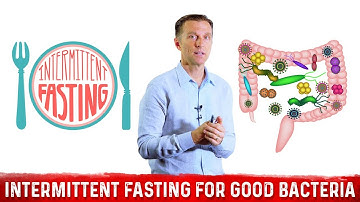 Supercharge Your Gut Bacteria with Intermittent Fasting – Dr. Berg