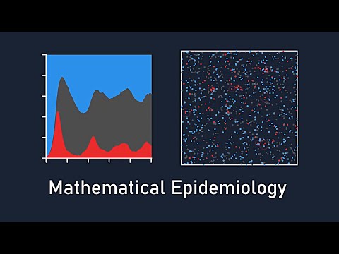 ⁣Mathematical Epidemiology: The Math Behind Simulating Disease Spread