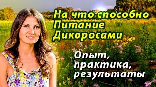 Инна Родионова, На что способно питание дикоросами. Опыт, практика, результаты. (видео 297)