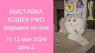 8-я выставка кошек эко-системы РФО 11-12 мая 2024г День 2