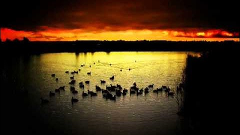 سورة الكافرون ** الشيخ ادريس ابكر