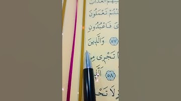 سورة العنكبوت الأية 56 إلى 58 القارئ سعد الغامدي
