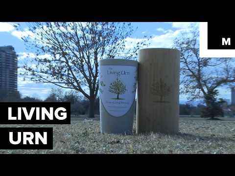 Video: Is het mogelijk om in een boom te veranderen?