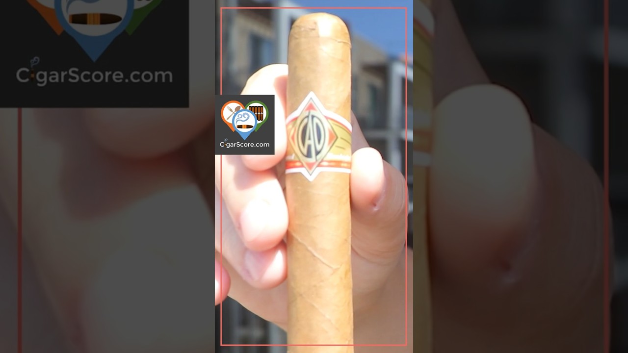 CAO Gold Robusto _ 90 Second Cigar Review 