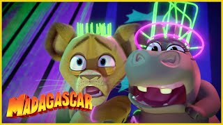 DreamWorks Madagascar en Español Latino | La casa esta encantada? | Madagascar: Algo Salvaje