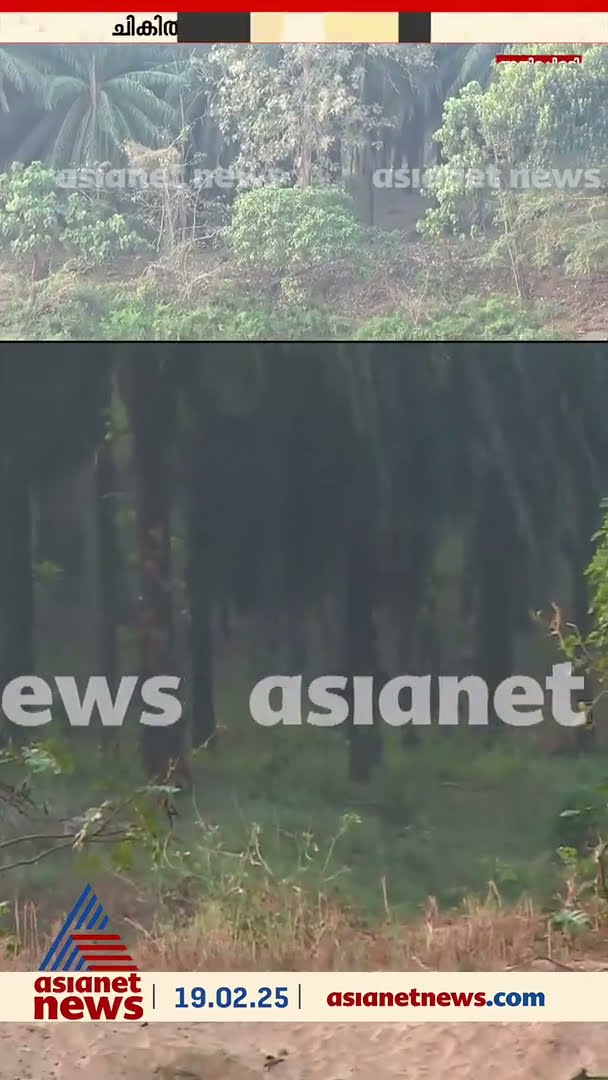 അതിരപ്പിള്ളിയിൽ മസ്തകത്തിന് പരിക്കേറ്റ കൊമ്പനെ മയക്കുവെടി വച്ചു