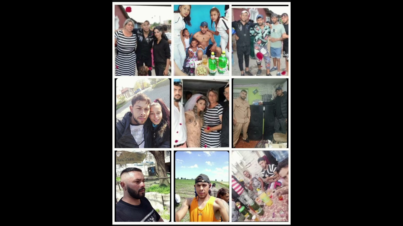 Поздрав за васко закона