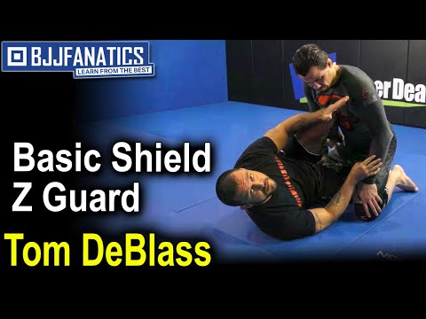 Jiu Jitsu Moves - Basic Shield Z Guard - Tom DeBlass - YouTube