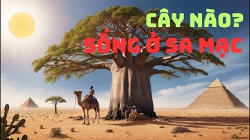 Sống Sót Giữa Sa Mạc: Những Loài Cây Phi Thường!(Desert Plants: Baobab,Cactus)