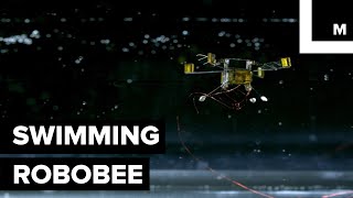 Tiny Swimming and Flying Robot Could Help Rescue Missions screenshot 5