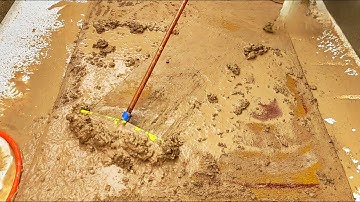 We Thought This Rug Was Trash… Until the Cleaning Started   ASMR Carpet Cleaning