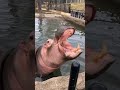 2020年5月2日 インスタライブ カバ
