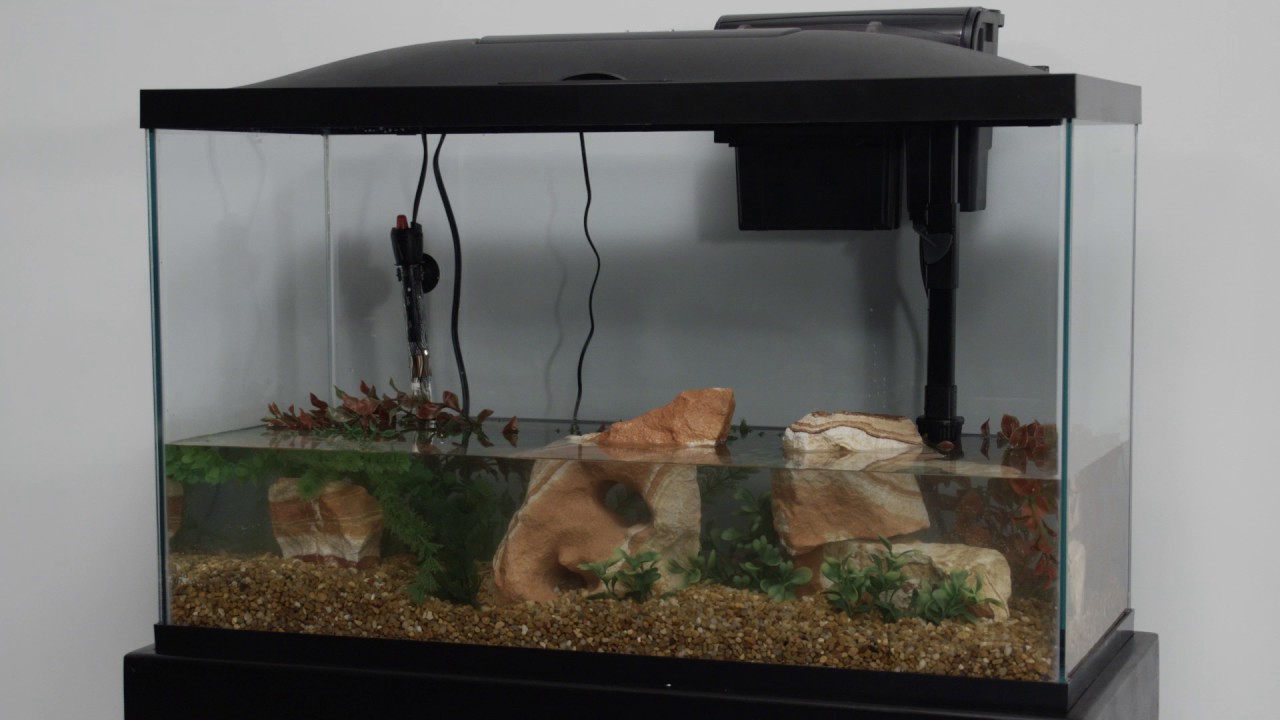 5.5 gallon aquarium hood