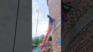 video 6 video dog high power juge jump stunt