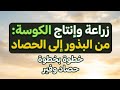 زراعة الكوسة وجميع ما يخصها من تسميد وامراض 