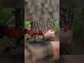SURVIVAL GADGETS YOU NEED TO KNOW #shorts