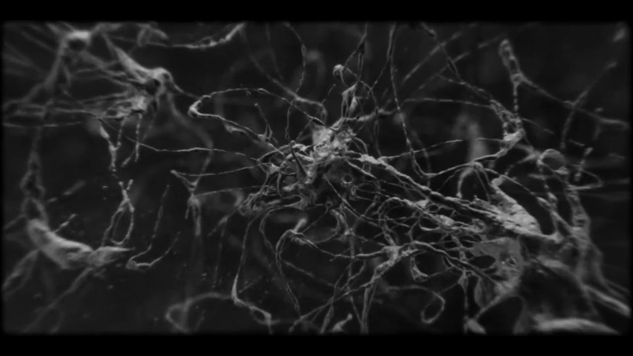 Luca Kallweit - Illestration (Original Mix)