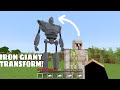 You can TRANSFORM IRON GOLEM TO IRON GIANT! in Minecraft - Wait What Meme