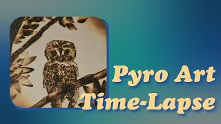 (#9) Pyro Art Wood Burning | Little Owl Time-Lapse