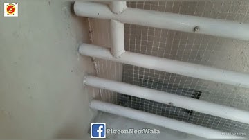 BirdNet Service in Gurgaon| pigeon protection net,Anti Bird net service|kabutarjali net,Bird Netting