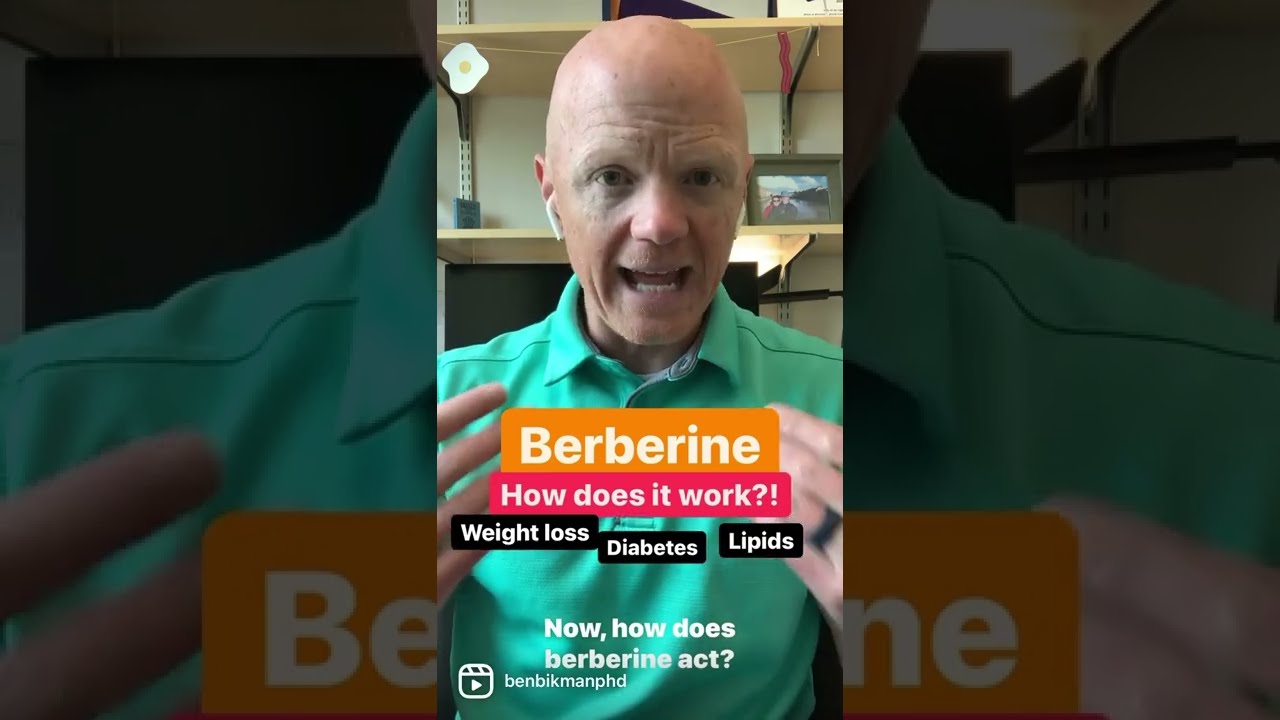 Berberine What Is It And How Does Work