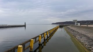 Ach, ta Gdynia. I Zawisza Czarny …