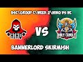 Skirmish hinq vs hc 11052024  mount  blade ii bannerlord