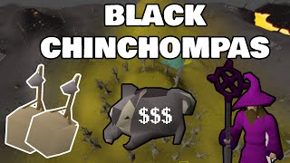 OSRS BLACK CHINCHOMPA Hunting guide (1m+ PER HOUR)