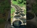 الهيكل المبتكر الذي يساعد الأسماك على السباحة عكس التيار
