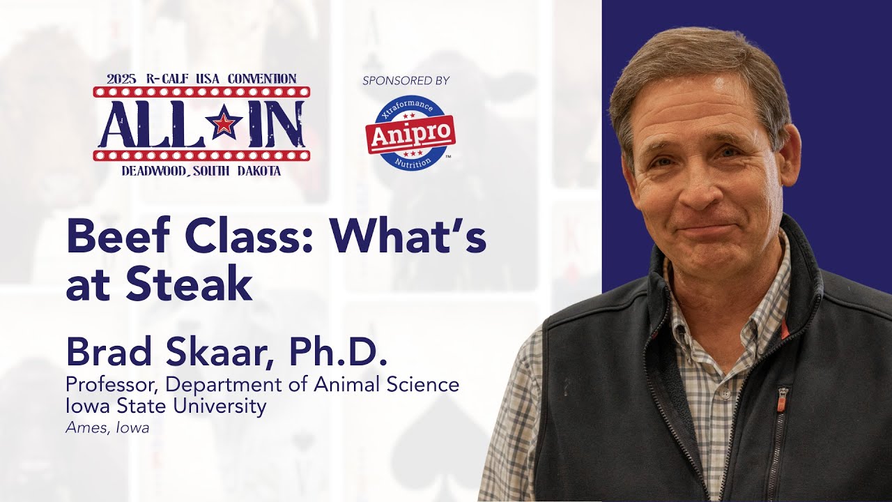 Beef Class: What's At Steak