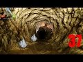 Let`s Play ARK Surival Evolved [037] Endlich in die Höhle