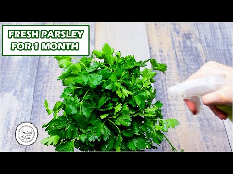 Video: How To Keep Parsley