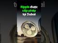 Ripple được cấp phép tại Dubai #bitcoin #crypto #cryptocurrency #shorts #ripple