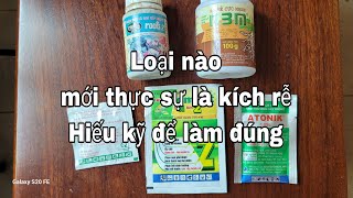 Loại nào mới thật sự kích rễ hiệu quả