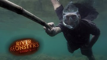 Searching For The Coral Reef Killer | NEEDLEFISH | River Monsters