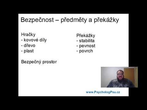 Video: Průvodce Bezpečností Psů Při Téměř Utonutí U Psů