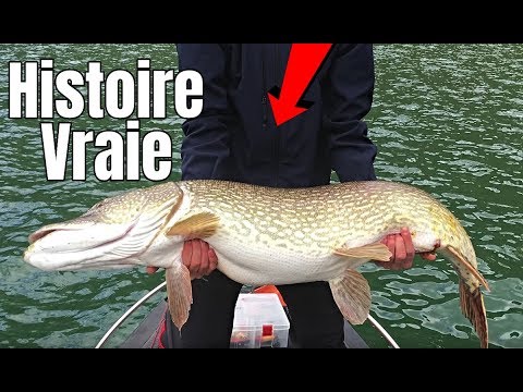 snake reptiles pictures Pêche d'un énorme BROCHET ! 1,15m sans la carte de pêche ..