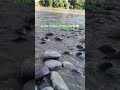#mountains #river #views #shorts #video #rishikesh #peace