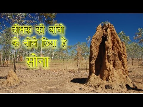 वीडियो: दफनाने की जगह का पता कैसे लगाएं