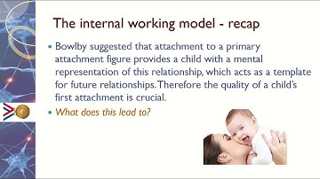Influence of early attachment on later life video