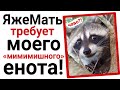 ЯжеМать требует моего енота 😕