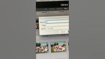 HOW I IMPORT & EXPORT MY PHOTOS!  #photographer #shorts  #photography #phototips