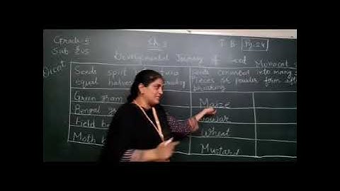 EM - GRADE-  5   EVS - [ DEVELOPMENTAL JOURNEY  OF SEED]