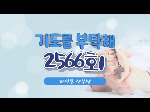영상썸네일