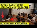 Пушистый секрет: как открыть 20-е кафе на районе и не разориться